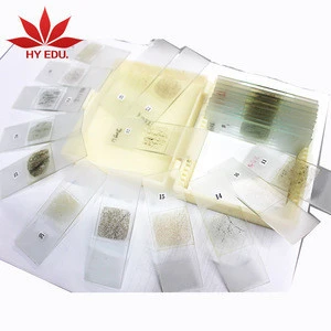 high quality geography stone rocks and minerals sets for 24 pcs microscope slides specimen