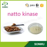 High quality natto kinase/nattokinase powder