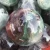 Import high quality natural fluorite crystal ball In semi-precious stone crafts from China