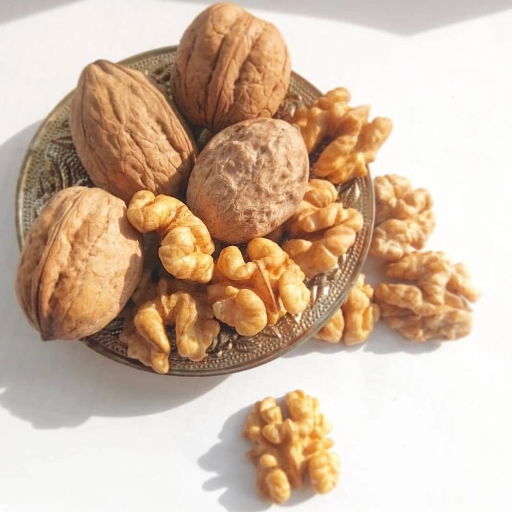 High Quality Organic Halves Walnut Kernel without Shell
