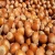 Import High quality Raw Hazelnut / Organic Grade Hazelnut/Hazel Nuts from China