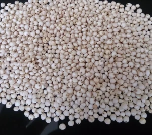 High Quality Sorghum For Sale (Yellow, White &amp; Red sorghum)