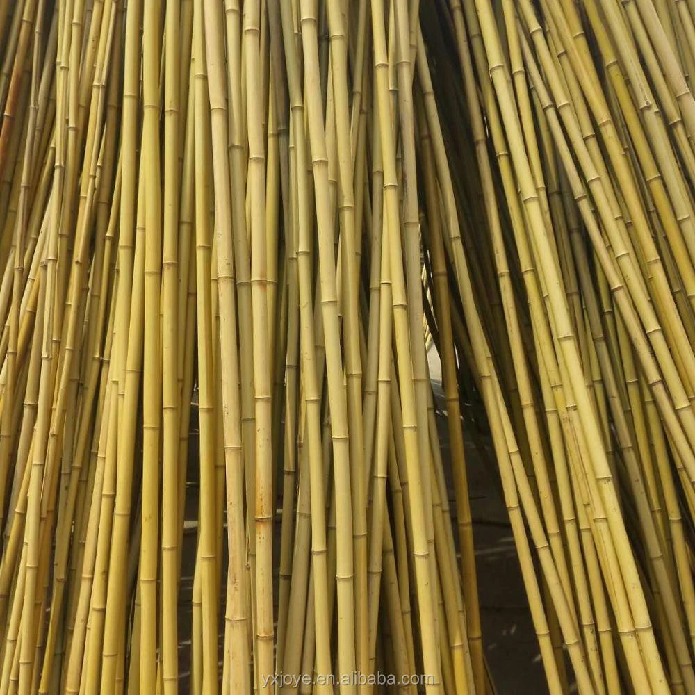 high quality straighten bamboo fishing pole
