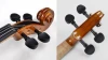 High quality violin 1 / 2 4 / 4 size with reasonable violin price and free case made in China V80S