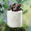 High Quality White Natural Dried Flower Soy Wax Candle Popular Birthday Present Artisanal Scented Candle Set for Wedding