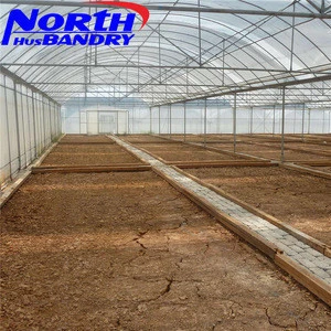 High steel quality Gothic structure vegetable production greenhouses china
