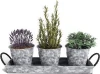 Home Decorative Desktop Organizer Garden Galvanized Round Three Succulent Metal Flower Pots Planters