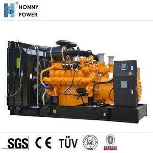 Honny Power Natural Gas into Electricity Standby Generator for Data Center