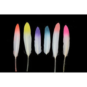 Horng shya Handmade 5-6 inch white goose cosse feather for sale us