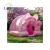 Import Hot Inflatable X Tent Customized Commercial Inflatable Tent House Inflatable Tent For Outdoor Camping from China