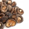 Hot Sale Log White Flower Mushroom / Dry Shiitake /hot Sale Dried Mushroom