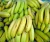 Import Hot sales Premium Quality Fresh Cavendish Banana for good price from Philippines