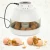 Import Household full automatic mini chicken egg incubator from China