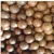 Import In Shell Macadamia Nuts grown in Australia 25 kilogram bags from Australia