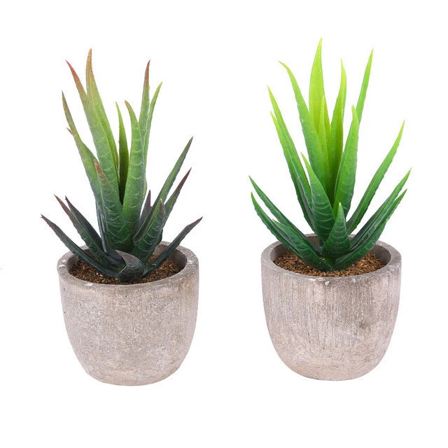 Indoor small potted plant plastic artificial succulent plants bonsai supplies