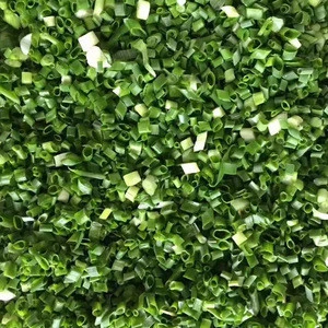 IQF Frozen Spring Onion Fresh Chinese green