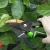Import JRF Garden Pruning Shears Garden Bypss Pruner Grape Fruit Picking Weed Household Potted Branches Pruner from China