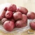 Import lady  Rosetta creamy Flesh  potatoes Export in bulk / Good For baking ,roasting / and for making fries from Pakistan