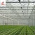 Import Large glass multi-span greenhouse from China