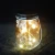 Import Led Lamp Arts Decoration luminary hang holiday home decoration Lighting Glass fairy fireflies lights from China