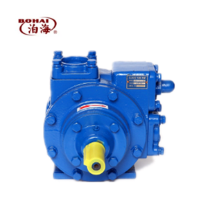 Liquefied Petroleum Gas electric motor LPG transfer pump