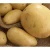 Import looking to buy fresh potatoes export suppliers potatoes vegetables from China