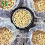 Low Price Preserved Wholesale Mushroom Buyers