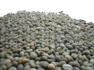 Luwak Coffee Bean