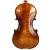Import LV1415AS High Grade String Instrument Handmade Professional Price Strings Violin from China