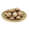 Made In China Superior Quality Preserved Flower Mushrooms For Sale
