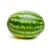 Import Mexico Grown Watermelon Seedless Fruit Robinson Fresh MOQ 5 COUNT Quick Delivery in US from USA