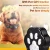 Import Mini smart gps pet tracker with 3G GSM location navigation tracking from China