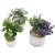 Import Modern Decorative Gardening Ceramic Flower Pot Planter from China
