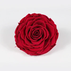 Multiple Colors 9-10 cm Preserved Rose Head Long Time Lasting Flowers