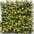 Import MZ188004 Series Outdoor Vertical Leaf Plant Fence Panels Decor Covering Artificial Plants Wall For Garden from China