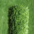 Import natural grass carpet three tones  45mm artificial grass non fill type football synthetic turf lawn for indoor sports from China