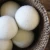 Import Natural organic 100% wool dryer balls laundry chemical unscented wool dryer ball from China