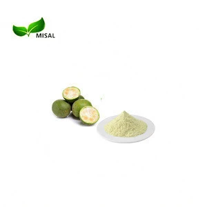 Natural Sweetener Mogroside V 25% 50% Mogroside V Monk Fruit Extract