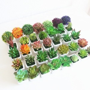 New Modern style China Supply Succulent potted cheap wholesale artificial plant
