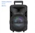 New popular DJ sound trolley speaker with LED light music system with USB FM support karaoke