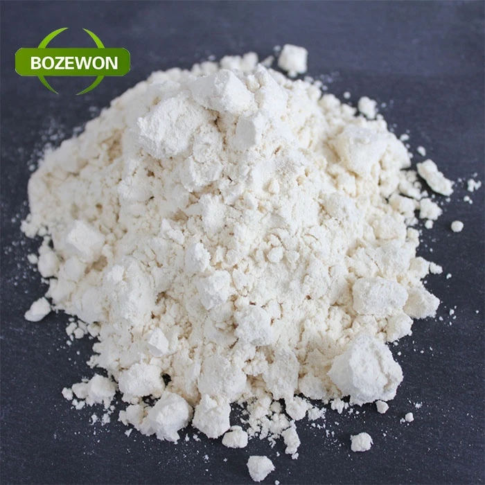 Non-GMO Rice Protein concentrate powder