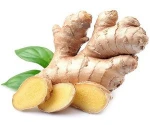 Organic Mature Fresh Ginger 150g PVC Carton