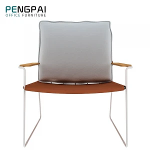 Pengpai Velvet Arm Lounge Leather Stainless Steel Leisure Contemporary Accent Chair