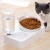 Import Pet Automatic Feeder Dog Cat Food Bowl with Water Dispenser Double Bowl Drinking Raised Stand Dish Bowls with Pet Supplies from China