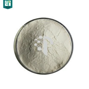 Pharmaceutical Raw Materials bovine pancreatin/pancreatin enzyme powder