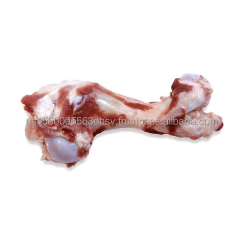 Pork Humerus Bones distributor