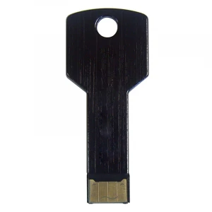 Portable Hot Sell Metal Key USB Flash Drive 64MB 128MB 256MB 512MB USB 2.0 Promotional USB Stick