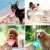 Import Portable Pet Dog Water Bottle For Small Large Dogs Travel Puppy Cat Drinking Bowl Outdoor Pet Water Dispenser Feeder Pet Product from China