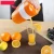 Import Portable Plastic Manual Orange Juicer from China