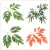 Import PR5M-31 Factory Price Boston Ivy Artificial Leaves Artificial Real Touch Leaf Green Plant Jungle Theme Party from China